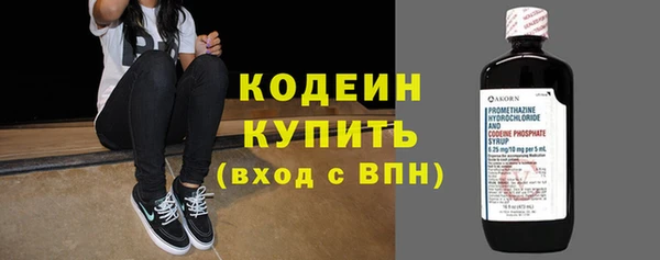 индика Тихвин